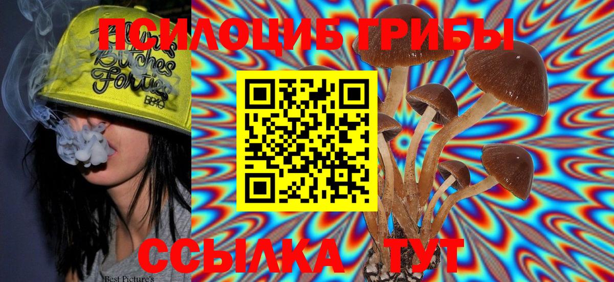 Псилоцибиновые грибы Cubensis Орск